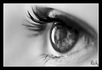 oeil2