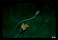 00104