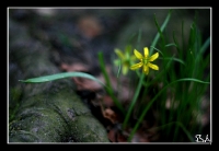img_8994_re