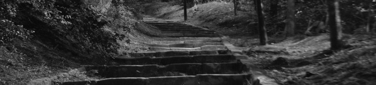00028_site